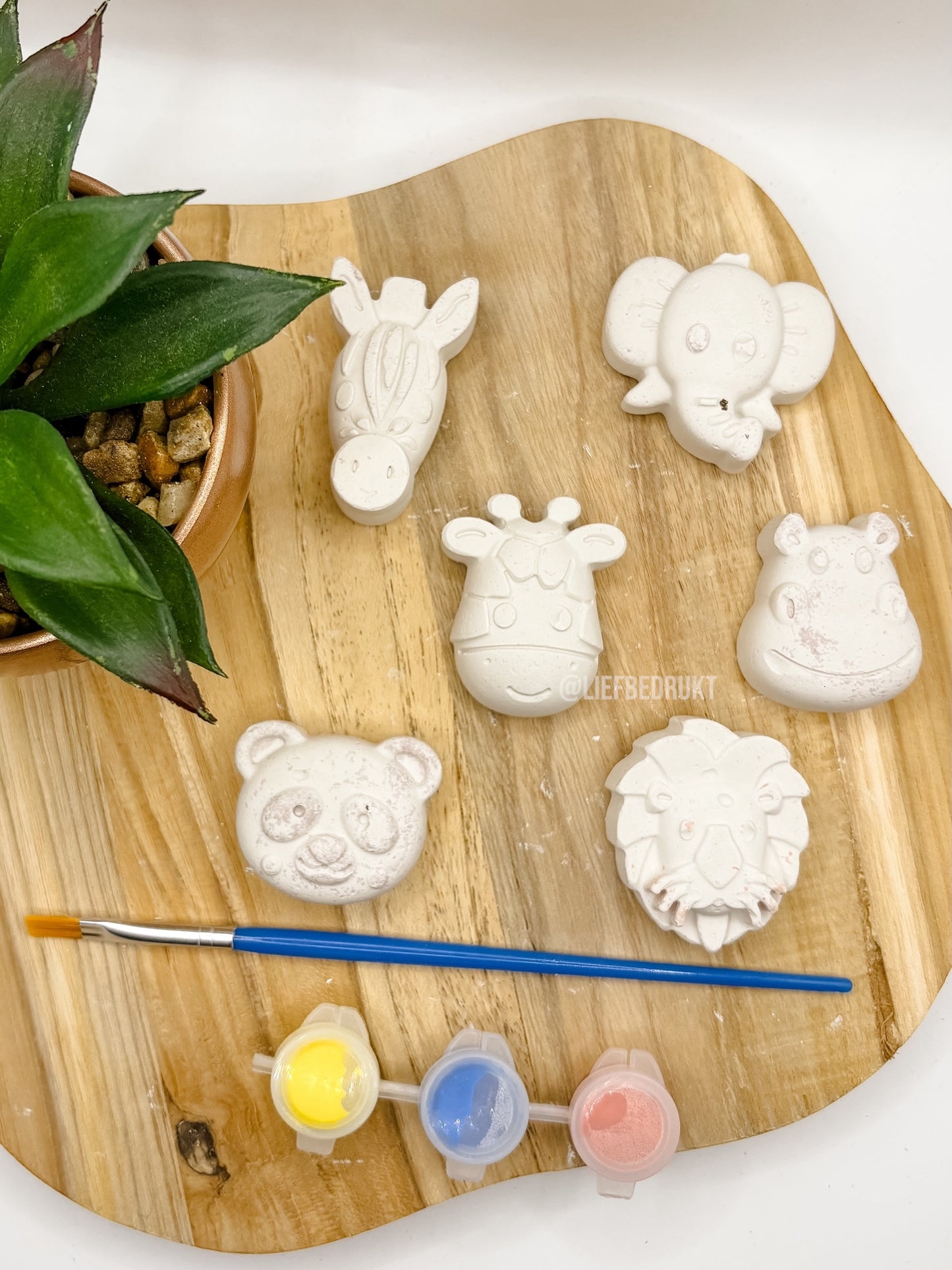 DIY stoepkrijt schildersetjes verschillende thema’s