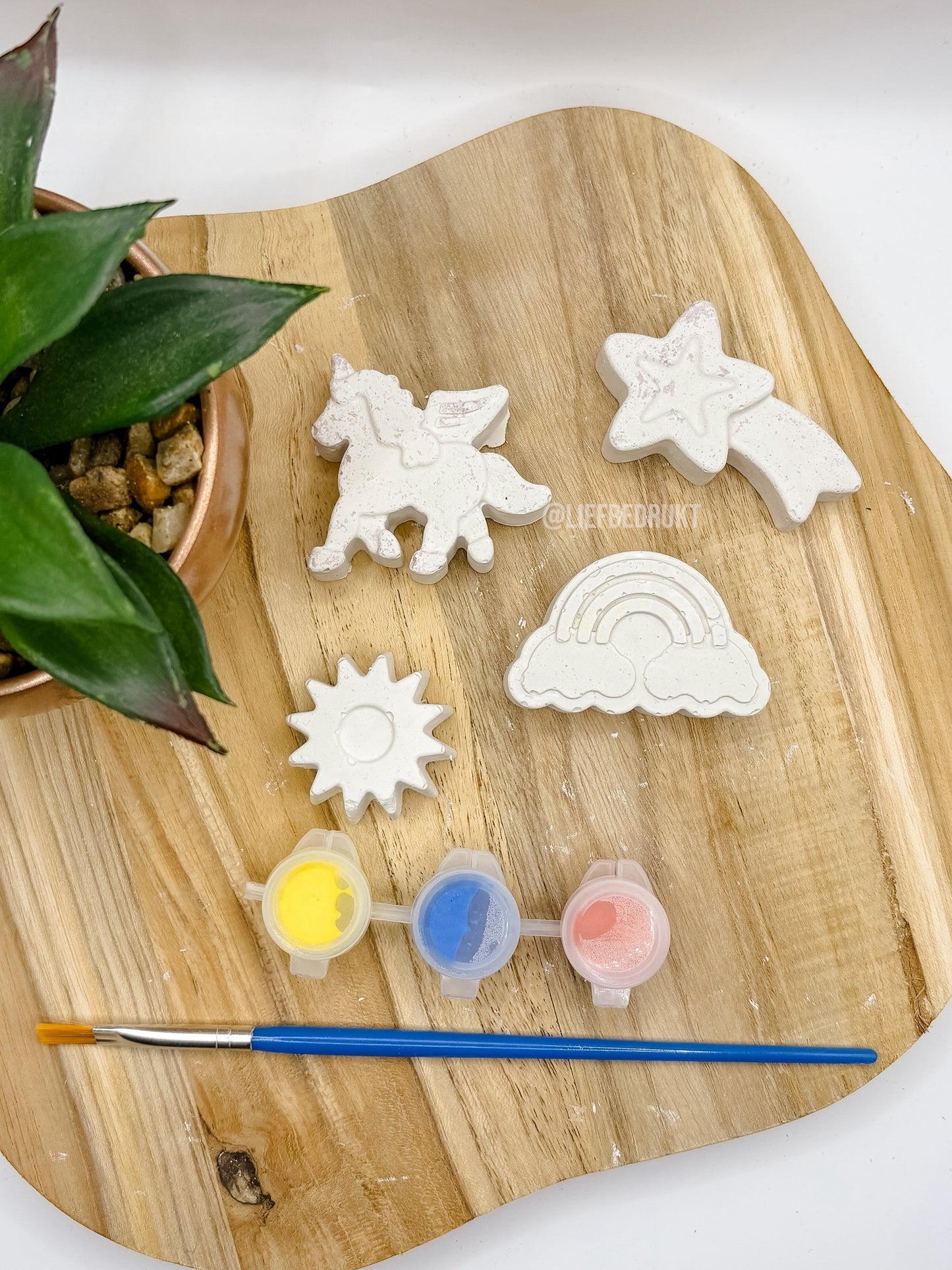 DIY stoepkrijt schildersetjes verschillende thema’s