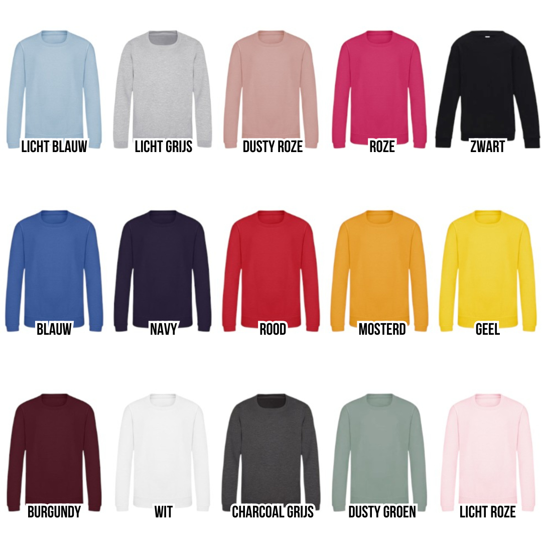 Sweater/hoodie grote/kleine broer/zus