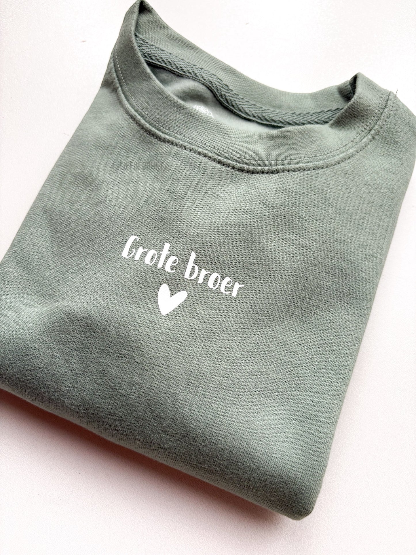 Sweater/hoodie grote/kleine broer/zus