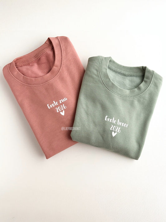 Sweater/hoodie grote/kleine broer/zus