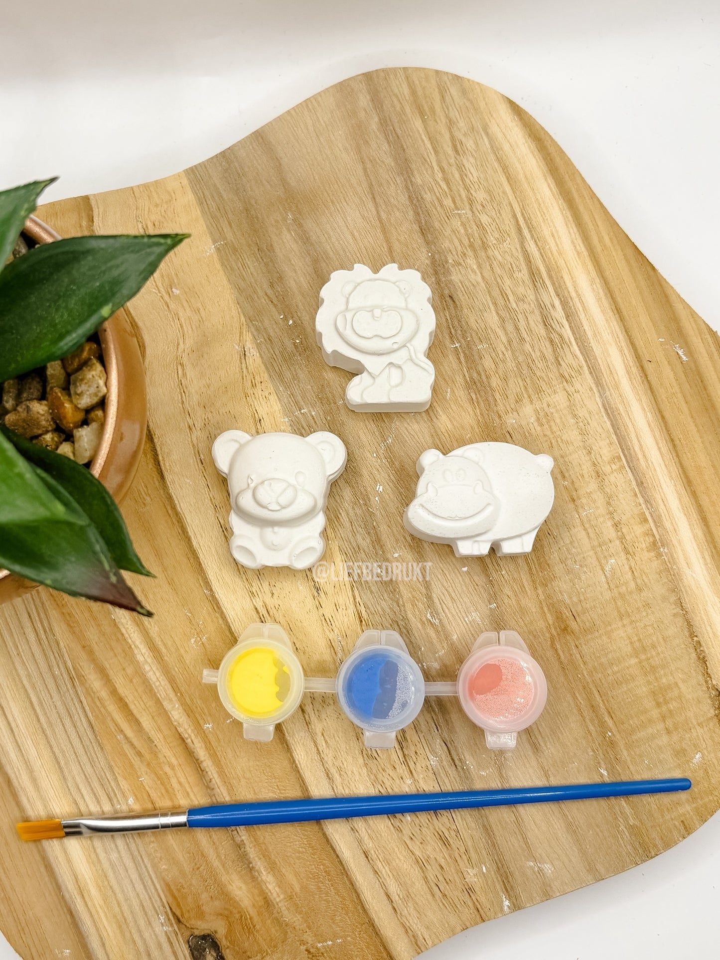 DIY stoepkrijt schildersetjes verschillende thema’s