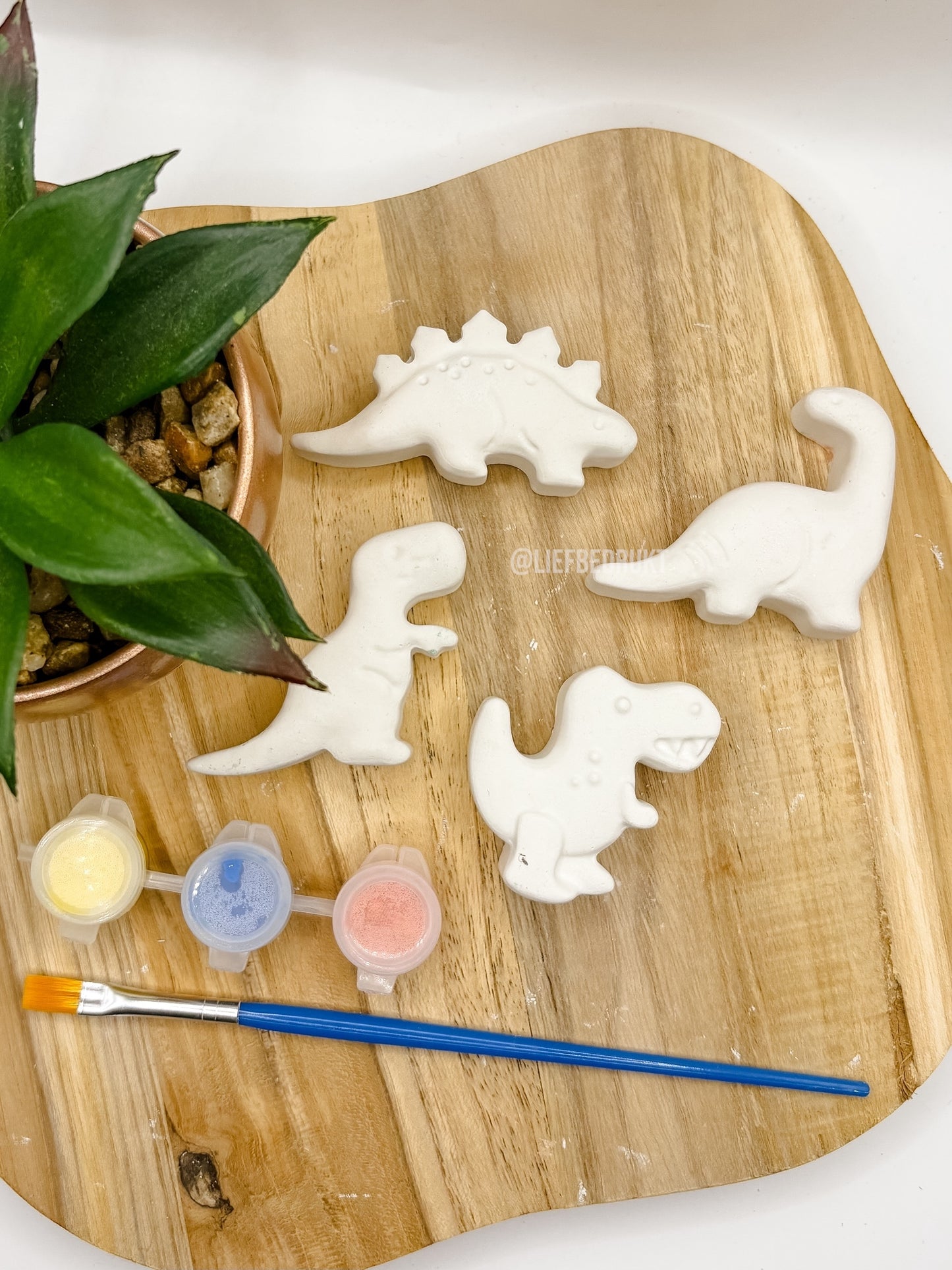 DIY stoepkrijt schildersetjes verschillende thema’s