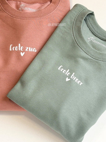 Sweater/hoodie grote/kleine broer/zus