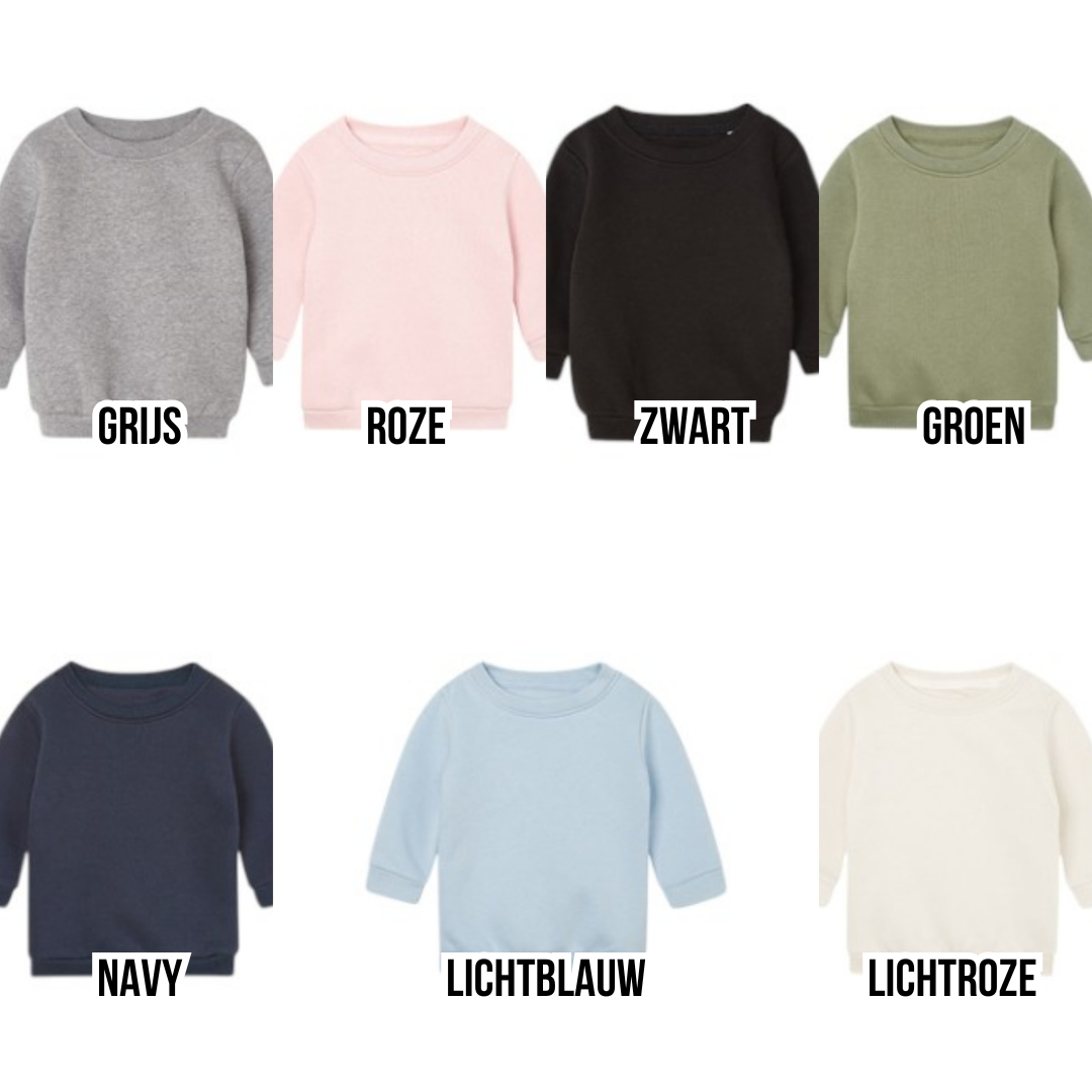 Sweater/hoodie grote/kleine broer/zus