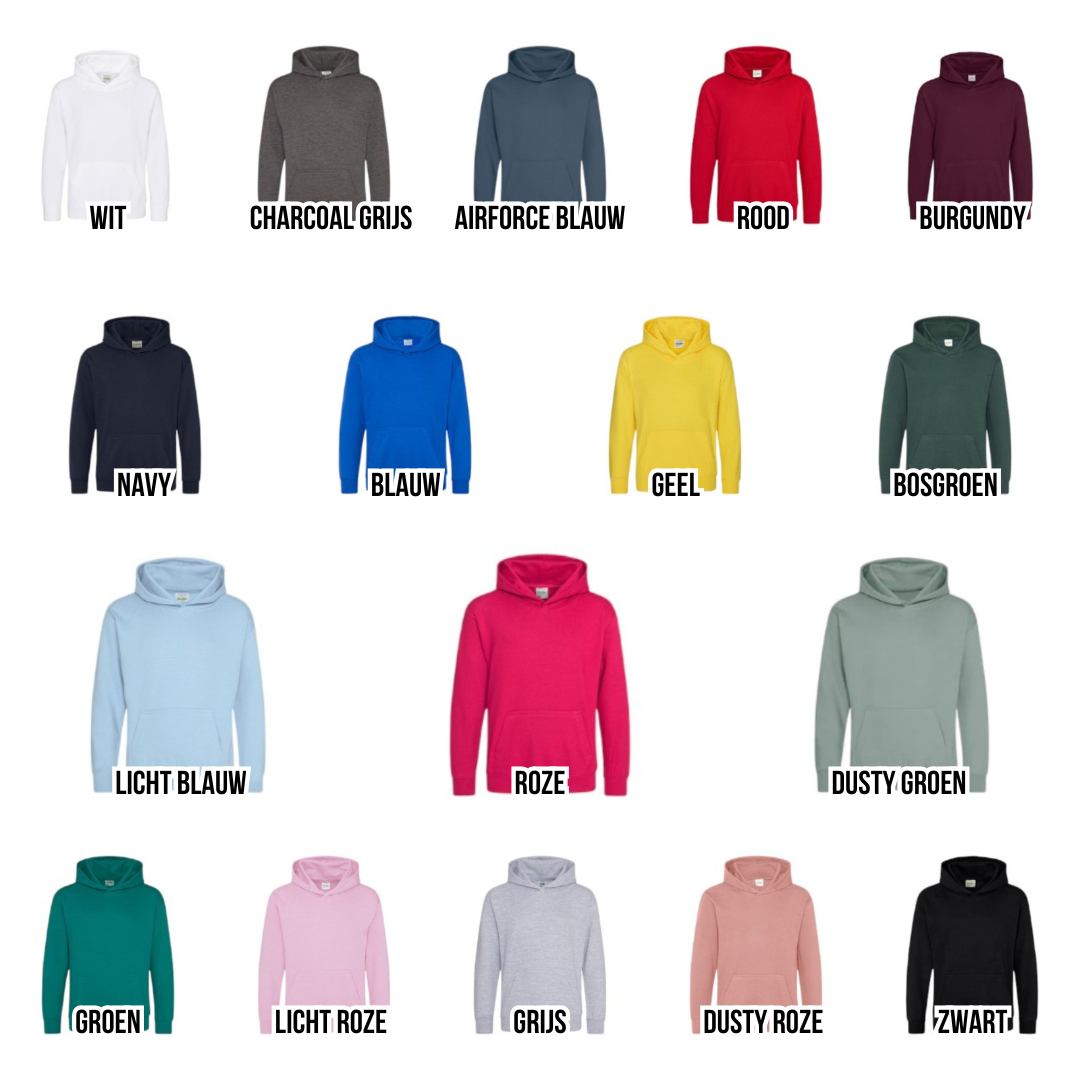 Sweater/hoodie grote/kleine broer/zus