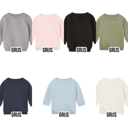 Sweater/hoodie grote/kleine broer/zus